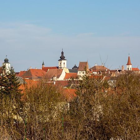 Апартаменты The Views Сибиу Экстерьер фото